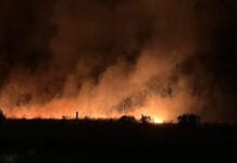 Incendios en Mar del Plata: el fuego ya arrasó más de 200 hectáreas