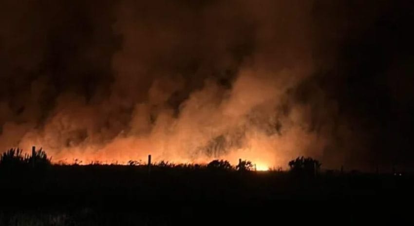 incendio-mar-del-plata