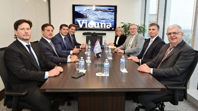 vicuña-corp