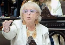 La Diputada Giudici cruzó a la oposición durante el debate por la Ley de Glaciares
