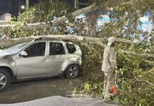 Ciudad de San Juan desplegó operativo de emergencia tras daños por el viento Zonda
