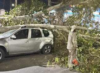 Ciudad de San Juan desplegó operativo de emergencia tras daños por el viento Zonda