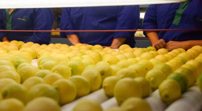 limones