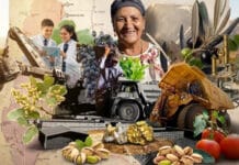 Diversidad en la matriz productiva de San Juan