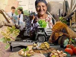 Diversidad en la matriz productiva de San Juan