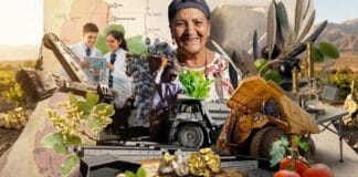 Diversidad en la matriz productiva de San Juan