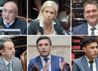 Peluc y Chiconi presentaron muy pocos proyectos en la Cámara de Diputados