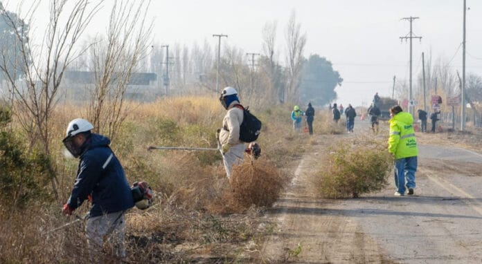 Medano-de-Oro-02