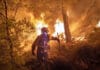 España sufrió la pérdida de más de 240.000 hectáreas por incendios forestales