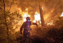 Incendios en España: Pedro Sánchez admitió que vienen "horas complicadas" y las personas confinadas ya son 90.000
