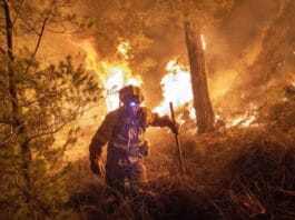 Incendios en España: Pedro Sánchez admitió que vienen "horas complicadas" y las personas confinadas ya son 90.000