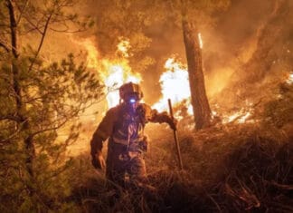 Incendios en España: Pedro Sánchez admitió que vienen "horas complicadas" y las personas confinadas ya son 90.000