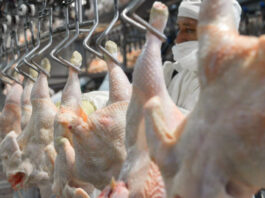 El pollo se convirtió en la carne más consumida por los argentinos
