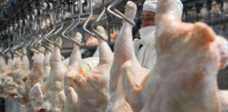 El pollo se convirtió en la carne más consumida por los argentinos