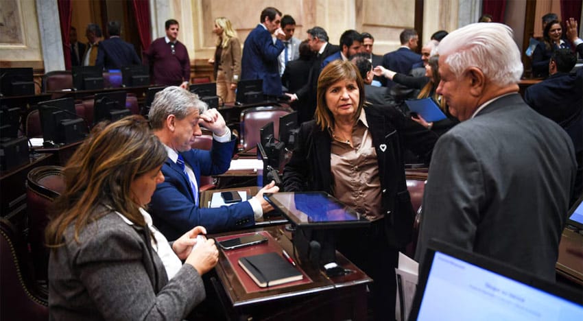 senado