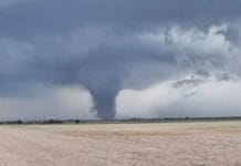 Un tornado azotó Santa Fe: dejó destrozos, árboles caídos y una persona herida