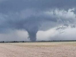 Un tornado azotó Santa Fe: dejó destrozos, árboles caídos y una persona herida