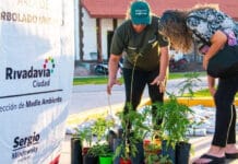 Rivadavia celebrará el Día del Árbol con una gran jornada de Eco Canje y conciencia ambiental