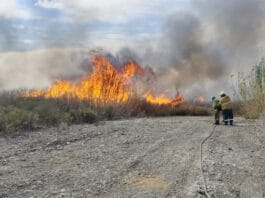 Máxima precaución en Médano de Oro: combatieron focos de incendio y pidieron no encender fuego