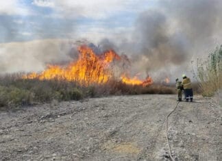 Máxima precaución en Médano de Oro: combatieron focos de incendio y pidieron no encender fuego