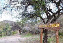 Eco Ruta Turística: los 8 sitios del circuito de naturaleza que no te podés perder